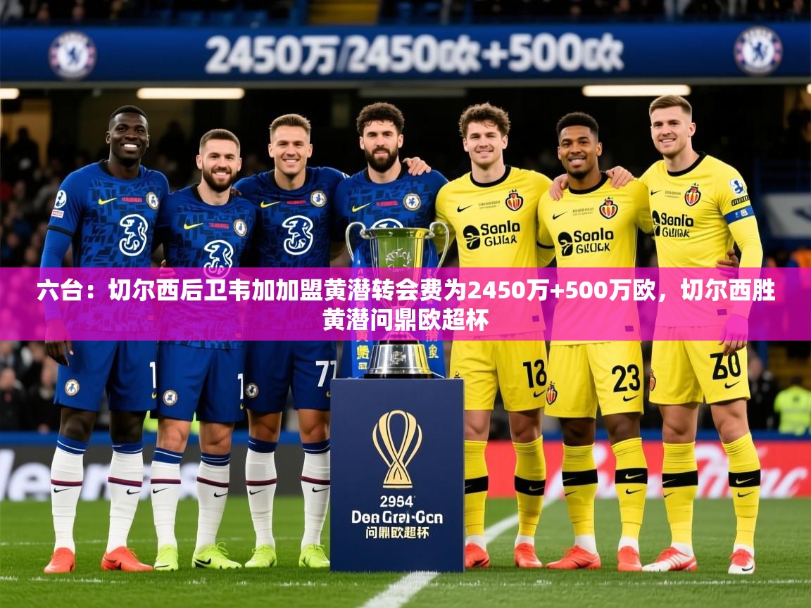 2025爱游戏体育官网六台：切尔西后卫韦加加盟黄潜转会费为2450万+500万欧，切尔西胜黄潜问鼎欧超杯  第2张