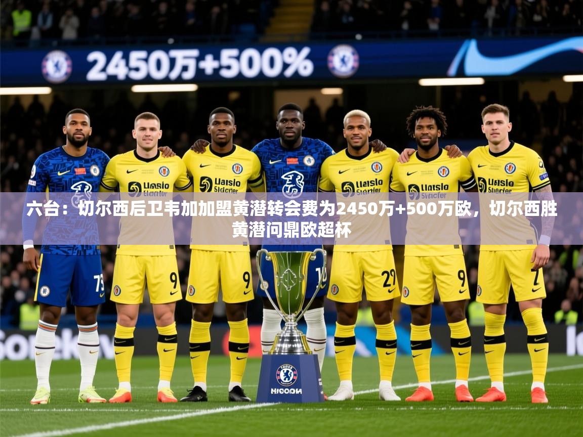 2025爱游戏体育官网六台：切尔西后卫韦加加盟黄潜转会费为2450万+500万欧，切尔西胜黄潜问鼎欧超杯  第4张