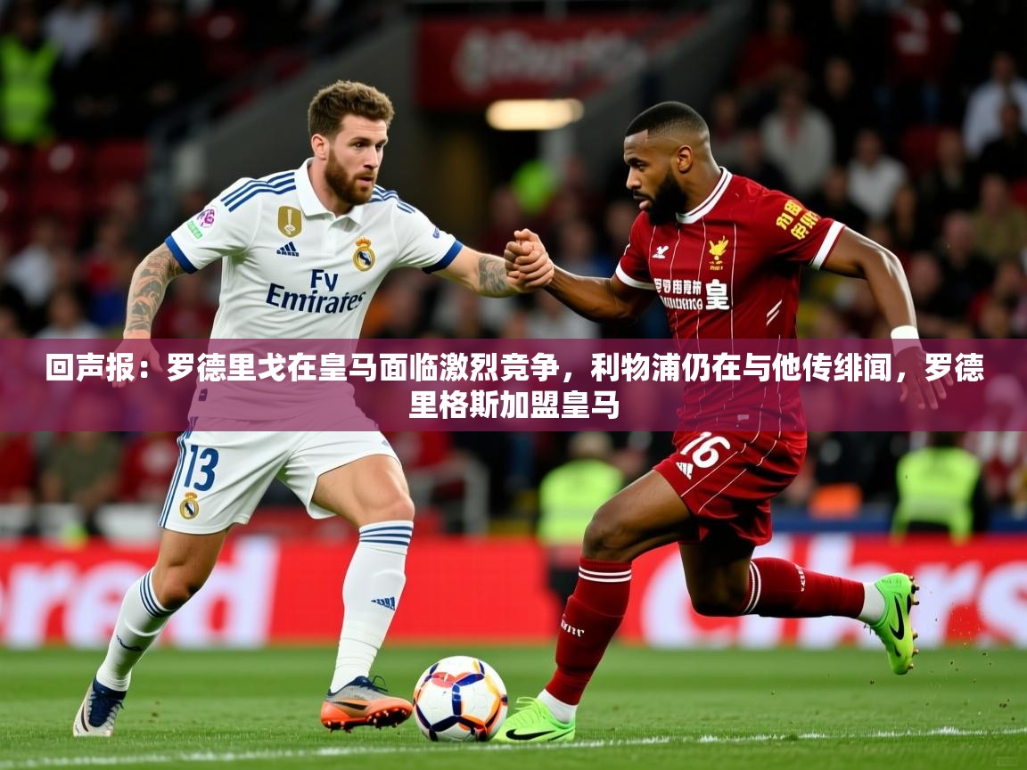 2025爱游戏体育下载回声报:罗德里戈在皇马面临激烈竞争,利物浦仍在与他传绯闻,罗德里格斯加盟皇马 第2张