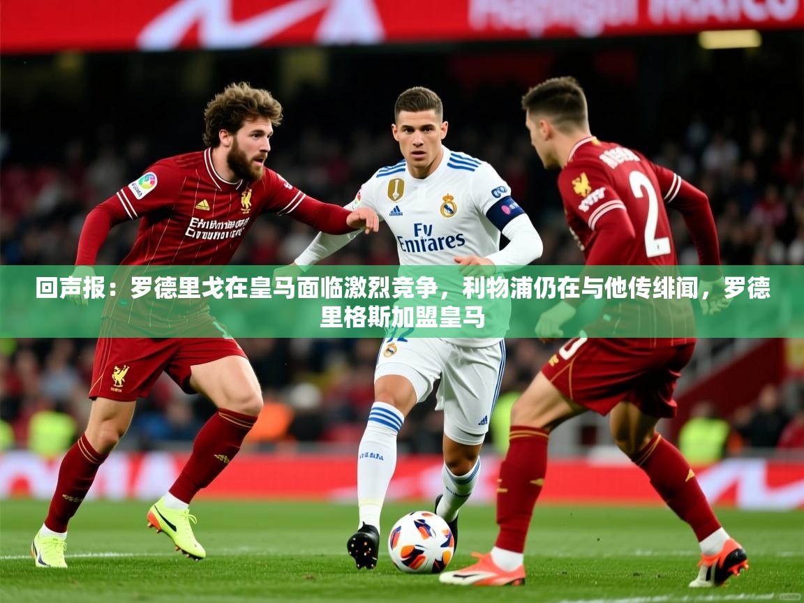 2025爱游戏体育下载回声报:罗德里戈在皇马面临激烈竞争,利物浦仍在与他传绯闻,罗德里格斯加盟皇马 第4张
