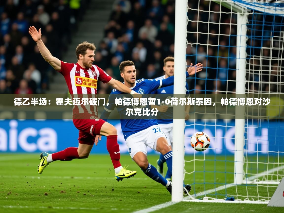 2025爱游戏体育下载德乙半场:霍夫迈尔破门,帕德博恩暂1-0荷尔斯泰因,帕德博恩对沙尔克比分 第2张
