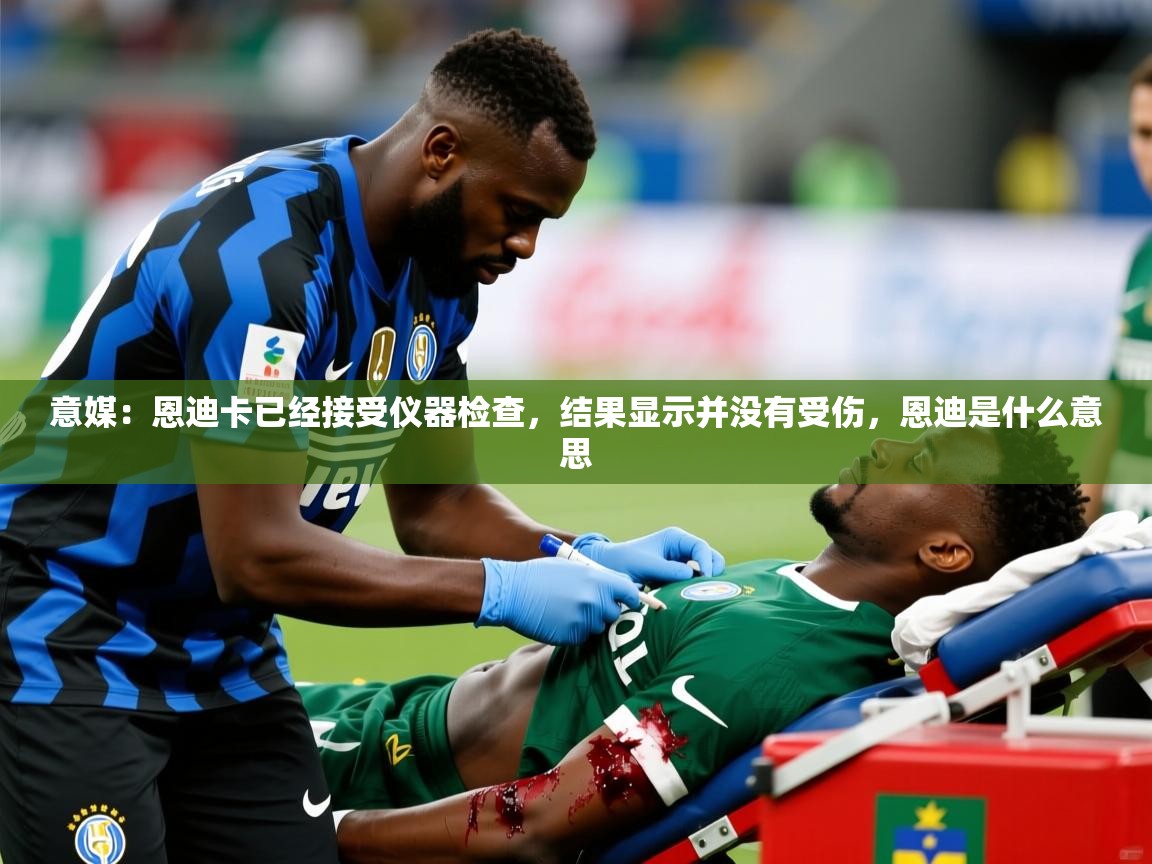 2025爱游戏体育在线官网入口意媒：恩迪卡已经接受仪器检查，结果显示并没有受伤，恩迪是什么意思