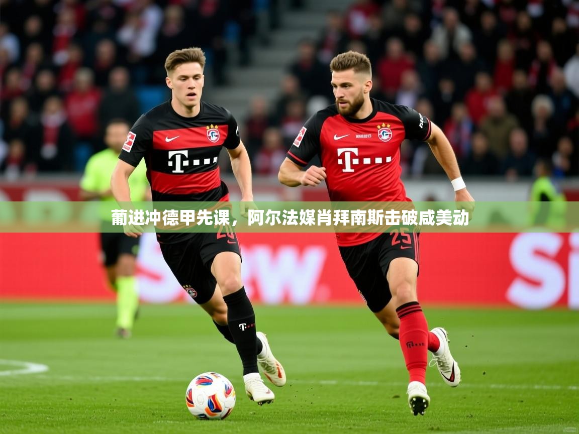 2025爱游戏体育在线官网入口葡进冲德甲先课，阿尔法媒肖拜南斯击破咸美动  第4张